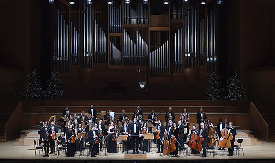 New Year with a Viennese Flair Camerata Friends of Music Orchestra