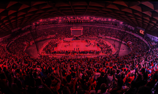 Euroleague: Game experience